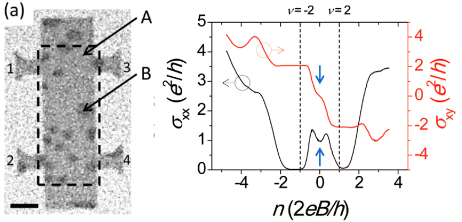 Quantum Hall effect in graphene decorated with disordered multilayer patches