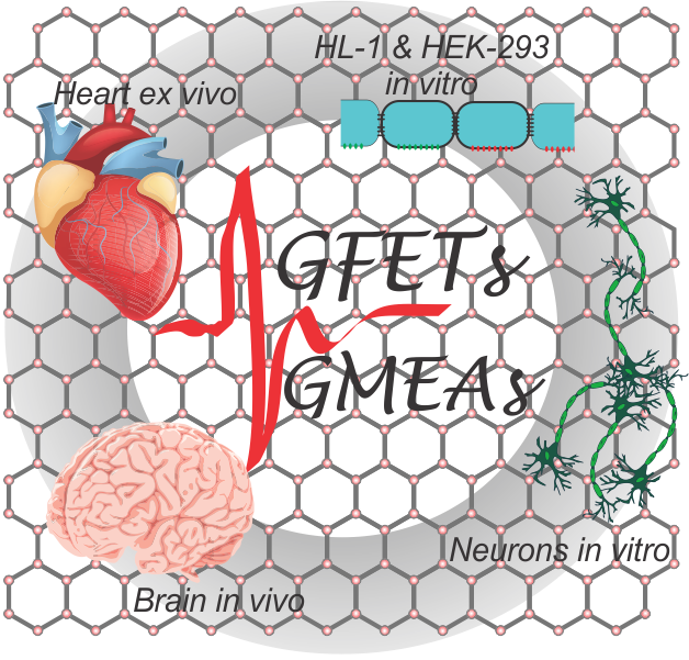 Graphene & two-dimensional devices for bioelectronics and neuroprosthetics