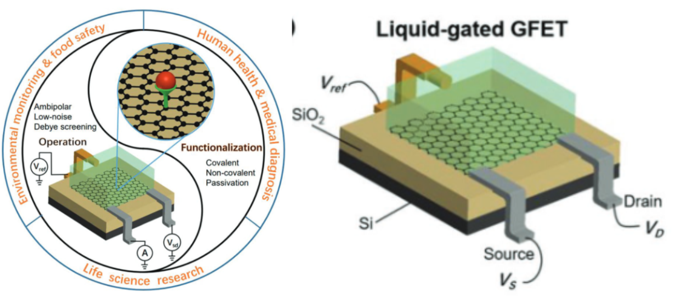 Ultrasensitive Field‐Effect Biosensors Enabled by the Unique Electronic Properties of Graphene