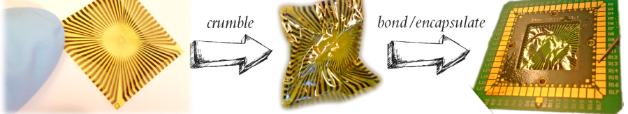 Versatile flexible graphene microelectrode array
